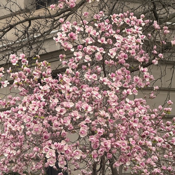 Meet your Posher, E - Picture 1 of 1